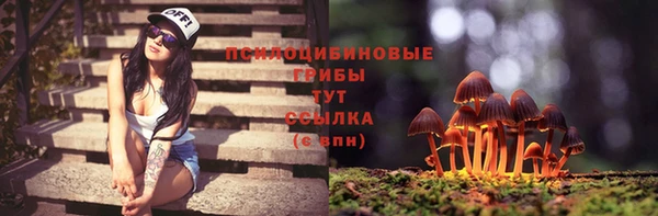 стафф Алексин