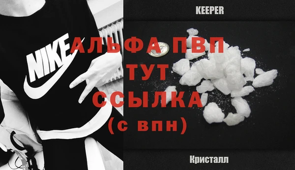 стафф Алексин