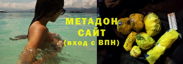 стаф Алзамай