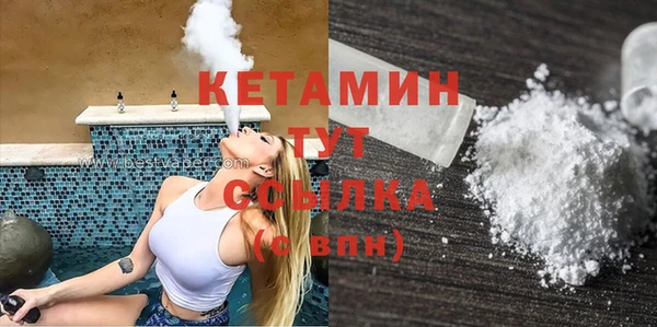 стаф Алзамай