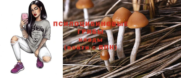 прущая мука Абаза