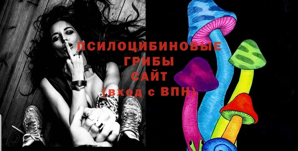 стафф Алексин