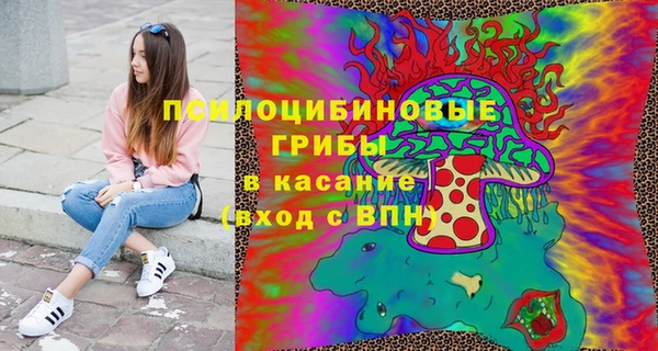 стафф Алексин