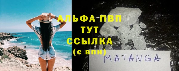 стафф Алексин