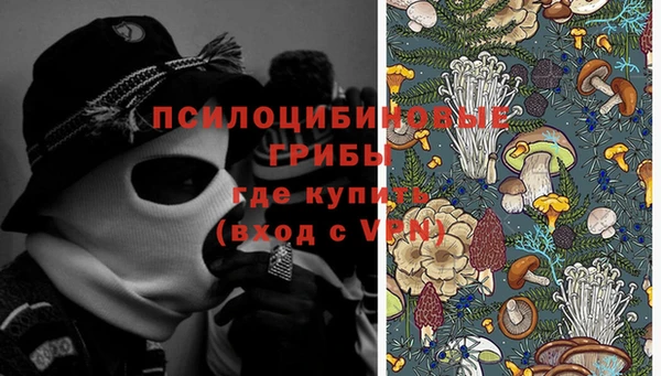 стаф Алзамай