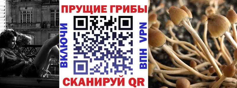 Псилоцибиновые грибы ЛСД Уварово